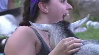 More Goat Yoga Fun at Fort Rickey