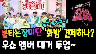 불타는장미단 우쇼10 멤버 대거 게스트 투입 화밤 맞대응 전략??