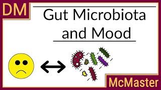 Gut Microbiota and Mood Can you eat your way to happiness?