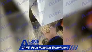 LANE Feed Pellet Machine Granulation Experiment