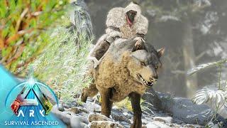 Making A Direwolf Army  Ark Survival Ascended Gameplay #7