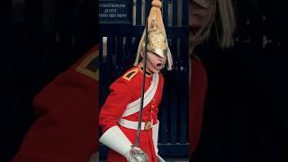 ROYAL GUARD HAS HAD ENOUGH POLICE STEPS IN  Horse Guards Royal guard Kings Guard Horse London