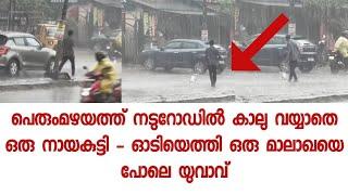 ഹൃദയം തൊടുന്ന വീഡിയോ - ശരിക്കും മാലാഖ തന്നെ