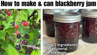 How to Make & Can Blackberry Jam ONLY 2 INGREDIENTS Step by step tutorial for beginner canners