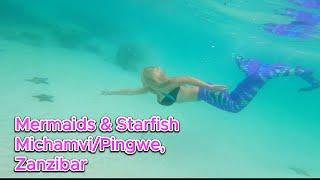 Mermaids & Starfish - Michamvi  PingweZanzibar 2023