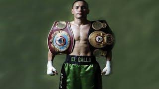 Juan Francisco Estrada - El Gallo Highlights  Knockouts