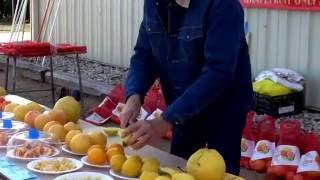 Celebrating Specialty Crops Episode 10 Citrus