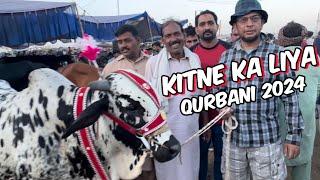 Kitne Ka liya qurbani 2024 Ka Janwar l Shapur kanjra Mandi Lahore