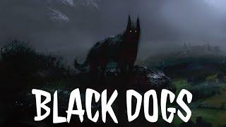 MF #28 Black Dogs British MythologyFolklore