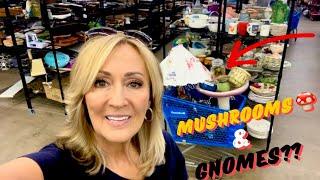 CRAZY Good Goodwill thrift with me  Fulltime Ebay Reseller