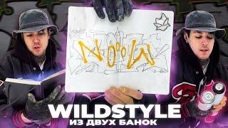 ДИКИЙ СТИЛЬ ИЗ 2х БАЛОНОВ  Wildstyle from two spray