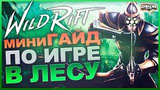  Основы игры за Лесника  League of Legends Wild Rift