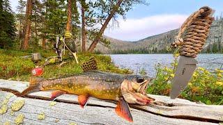 MOUNTAIN Trout Fishing & SOLO Camping Catch & Cook