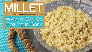 What Millet Can Do For Your Body  5 Benefits