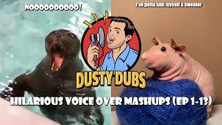 Dusty Dubs Hilarious Voice Over Mashups Ep 1-13