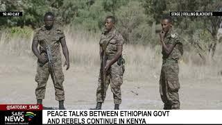 Peace talks between Ethiopian government and rebels continue in Kenya