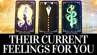 PICK A CARD Their CURRENT FEELINGS For YOU  They want you to know THIS  Love Tarot Reading