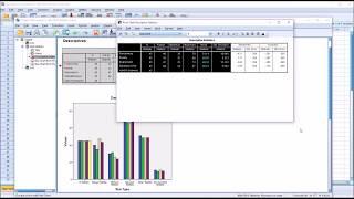 Calculating Descriptive Statistics in SPSS