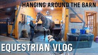 Hanging Around the Barn & Trimming & Tidying Manes • Day 3  EQUESTRIAN VLOG