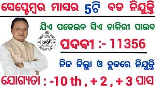 September Month Top Odisha Govt Jobs 2024  Post 11356  Odisha New Job Vacancy  Odisha Jobs