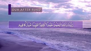 Prayer After Prostration Ruku - Daily Islamic Supplications - Dua from Hadith of the Messenger ﷺ