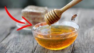 How BEE HONEY is MADE  How BEES make HONEY 