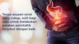 Apa yang Terjadi Jika Tubuh Kekurangan Serat?