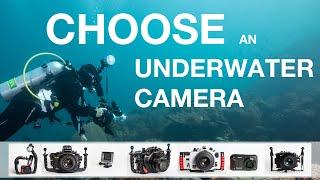 How to Choose an Underwater Camera