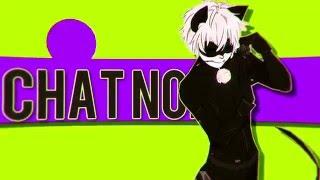 Chat Noir Miraculous LadyBug - D@DDY 12K