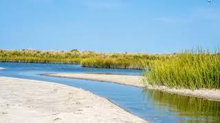 TIDE RISES IN TIDAL MARSH TIMELAPSE