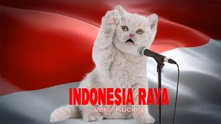 Video Kucing Nyanyi Lagu Kebangsaan Indonesia Raya  Versi Dunia Kucing TV