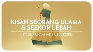 KISAH SEORANG ULAMA & SEEKOR LEBAH  Ustadz Muhammad Nuzul Dzikri hafizhahullah