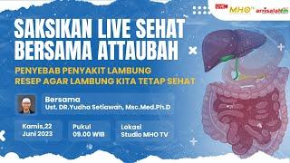 SEHAT BERSAMA ATTAUBAH  PENYEBAB PENYAKIT LAMBUNG DAN RESEP AGAR LAMBUNG KITA TETAP SEHAT 