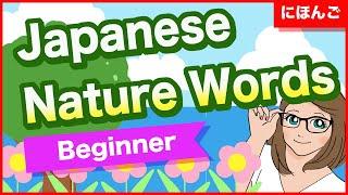 Top 10 Japanese Nature WordsSky Mountain Flower Tree Forest etc Learn Japanese