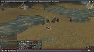 Фарм сундуков с сокровищами Lineage 2 Asterios Локация Field of Silence Поля Безмолвия