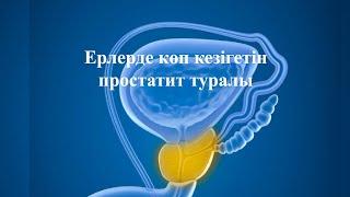 Простатит туралы