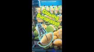 Clawing for Durians