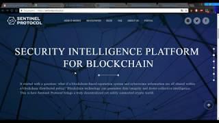 ICO 2018  Sentinel Protocol  обзор проекта.