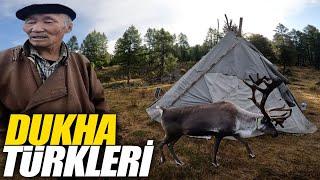 DUKHA TURKS and Reindeer   5 Day Journey