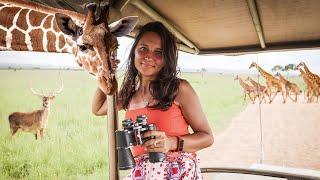Afrikada Safari Turu Yapmak - Fiyatlarhayvanlarkonaklama - TANZANYA
