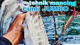 tehnik paling efektif mancing CUMI sotongpulau KALONG