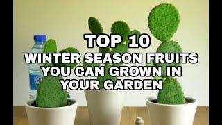 TOP 10 WINTER SEASON FRUITS YOU CAN GROWN IN YOUR GARDEN