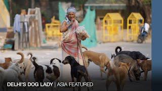 Caring for stray dogs in Delhi