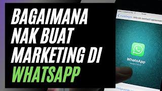 Bagaimana nak buat marketing dalam Whatsapp  whatsapp marketing  whatsapp 2021  whatsapp tutorial