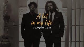 Sample Intro A lot but Itll change My Life - 21 Savage & J. Cole