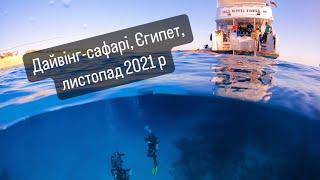 Дайвінг-сафарі Єгипет Північний маршрут Червоного моря листопад 2021р. Дайвінг-центр @diversua