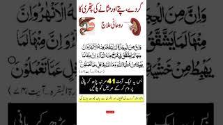 Gurday  Pittay Or Msanay ki Pathri se Nijat   k lye khas Wazifa    @Nijat