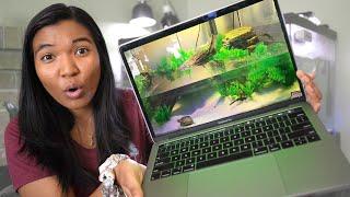 MUSK TURTLE TANK INSPIRATION reacting to YOUR tanks