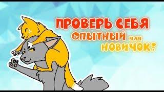 Catwar  Игра глазами новичка и опытного #1