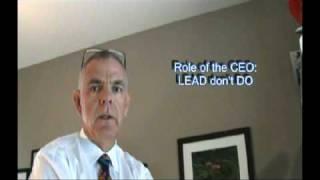 Role of the CEO Chief Executive Officer